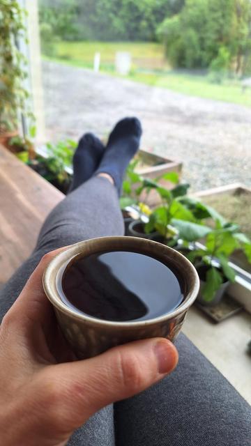 Someone holding a teacup on stretched out legs across a wooden bench, large window and plants in the background