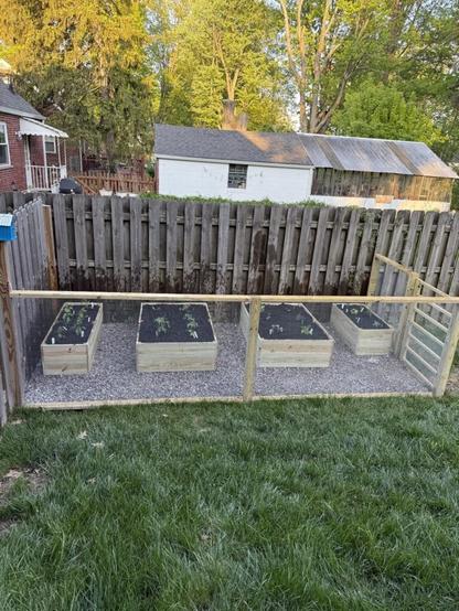 First Season in My New Garden