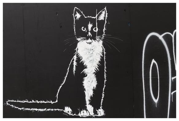 A black and white murale of a sitting cat with its eyes wide open staring at the camera. The wall is black painted and on the right side part of a letter is visible, probably an O.