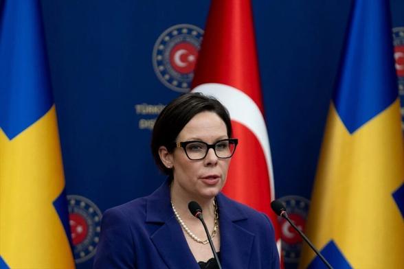 Sweden urges Turkey to release journalist