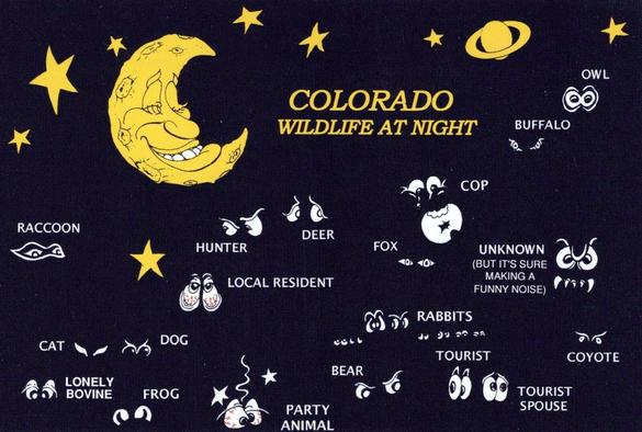 The postcard has a smiling crescent moon. There are many animal eyes. But of note are the none animal, Party Animal, Local Resident, Hunter, Cop (is a clown) and tourists.