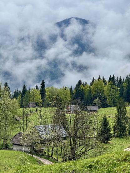 Village set in pasture with mountain peak mostly hidden in cloud. 

The Uskovnica pasture has been traditionally used for mowing and hay harvesting as well as pasturing. On the pasture, farmers used to cultivate fields of potatoes and grains at the highest altitude anywhere in Bohinj.