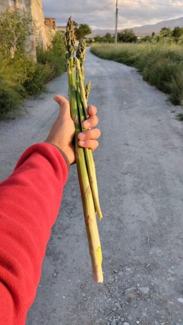 Huge one