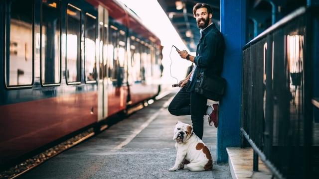 Tisséo ne change pas de cap, les chiens restent interdits à bord des métros à Toulouse