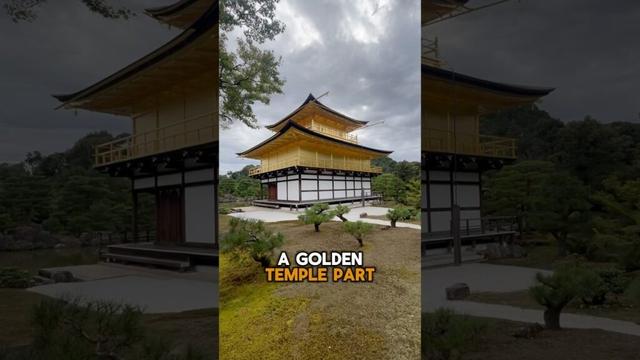 Temple Cover in Gold Kinkakuji #japan #travel #temple #shorts