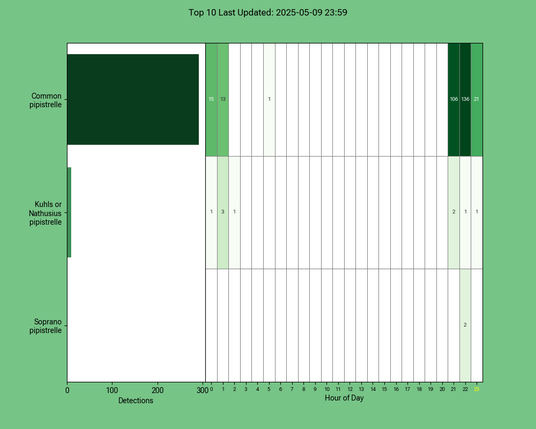 Diagramm der Fledermäuse vom 09.05.2025