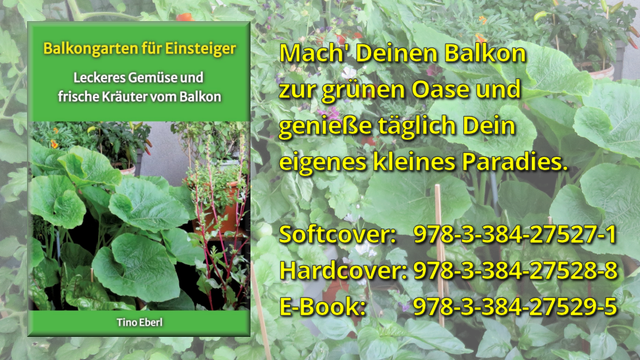 Dichte grüne Pflanzen bedecken den gesamten Hintergrund. In der linken Bildhälfte ist ein Buchcover eingeblendet, das eine ähnliche Pflanzenumgebung zeigt. Große Blätter und verschiedene Kräuter sind in Töpfen angeordnet. Um das Cover herum sind weitere Pflanzen zu sehen, darunter Tomatenpflanzen mit kleinen, roten Tomaten und weiteren grünen Blättern. Der Gesamteindruck ist eine üppige, grüne Vegetation, die einen urbanen Balkon in eine grüne Oase verwandelt.