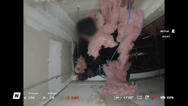 Suspected burglar found above ceiling of Oceanside business – NBC 7 San Diego