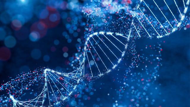 Genomics could hold the key to stroke risk, U of A researchers say