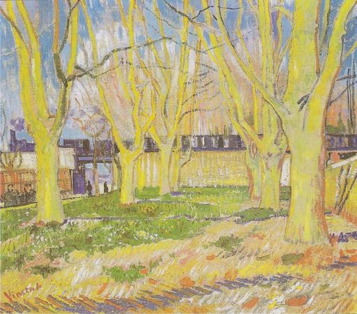 Avenue of Plane Trees near Arles Station
