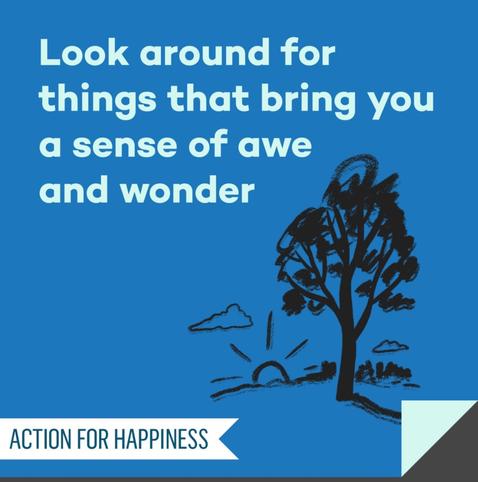 Look around for things that bring you a sense of awe and wonder