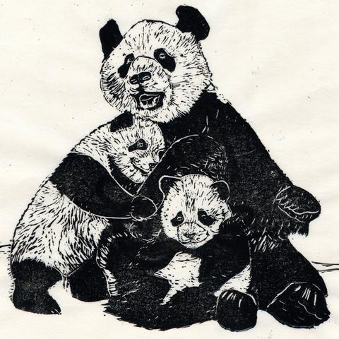 My linocut seated mother giant panda with two cubs in black on white paper
