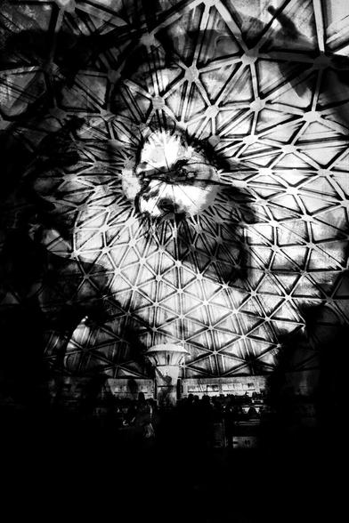 Black and white photograph, portrait format, multiple exposure. Self-portrait against a dark, high-contrast background. The face of a woman looking to the left, her eyes staring into the distance, almost dreamily. The double exposure reveals architectural elements of a market hall with a domed roof around her head: metal ribs that surround the portrait like an aura.