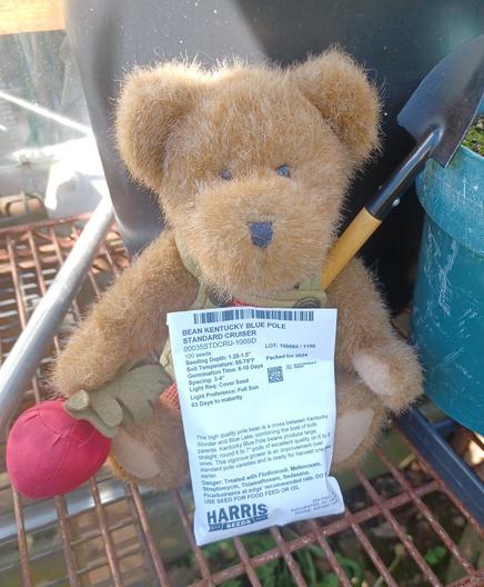 A ten inch tall (25cm), light brown teddy bear in green overalls sits looking directly at the camera. His name is BeetBear. He is holding a beet in his right paw.  There is a bunch of beets embroidered on the bib of his overalls.  In his lab is a white paper seed packet for Kentucky Blue pole beans type Standard Cruiser.  He has a small shovel tucked in to his overalls.