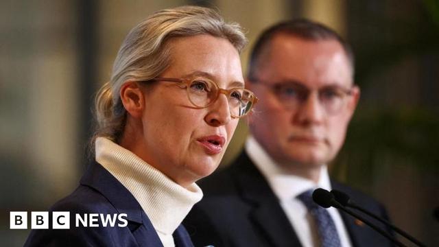 Alice Weidel in the foreground, wearing a white turtle neck jumper and navy blazer, speaking into a microphone at a lectern, with co-leader Tino Chrupalla, out of focus, standing beside her.