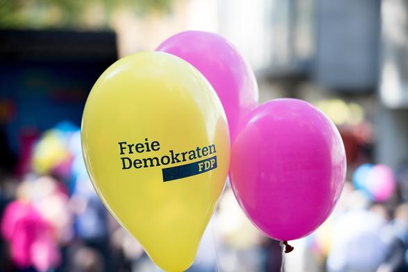 FDP Schwerin FDP Schwerin