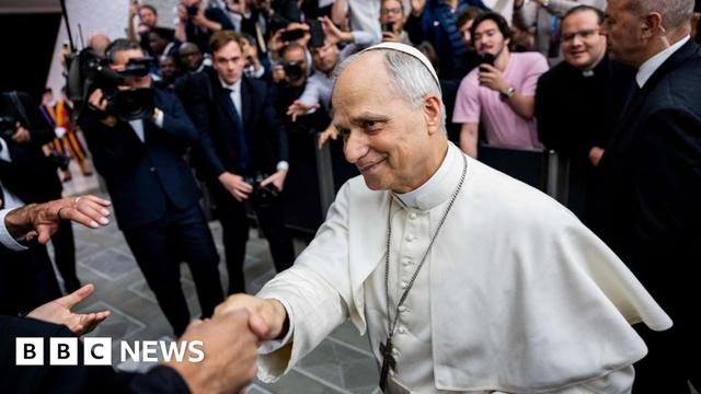 Pope Leo XIV, wearing white, shakes hands with a person, with a group of people standing behind him holding cameras and phones