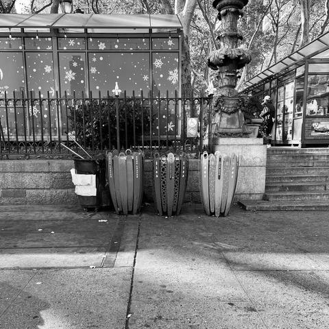Meet the Bryant Park Litter Receptacle (tulipa carrum).