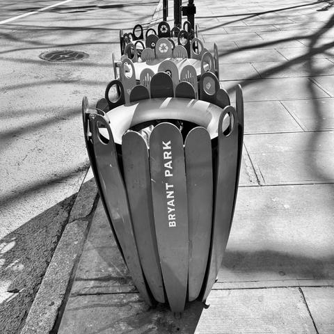 Meet the Bryant Park Litter Receptacle (tulipa carrum).