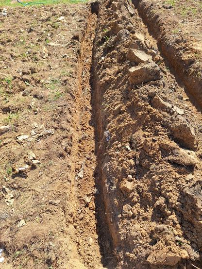 Two trenches in sandy soil, with remnants of sheet composting 