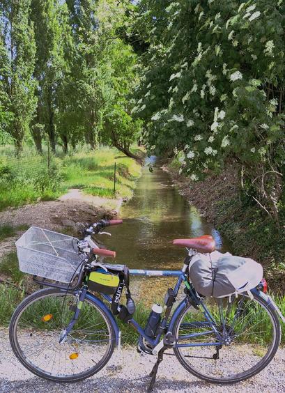 La mia bici vista di lato su una strada di campagna. Dietro un canale artificiale pieno d'acqua. Sulla destra del canale c'è una fitta vegetazione, in primo piano una sambuco in fiore. Sulla sinistra sullo sfondo un filare di pioppi cipressini