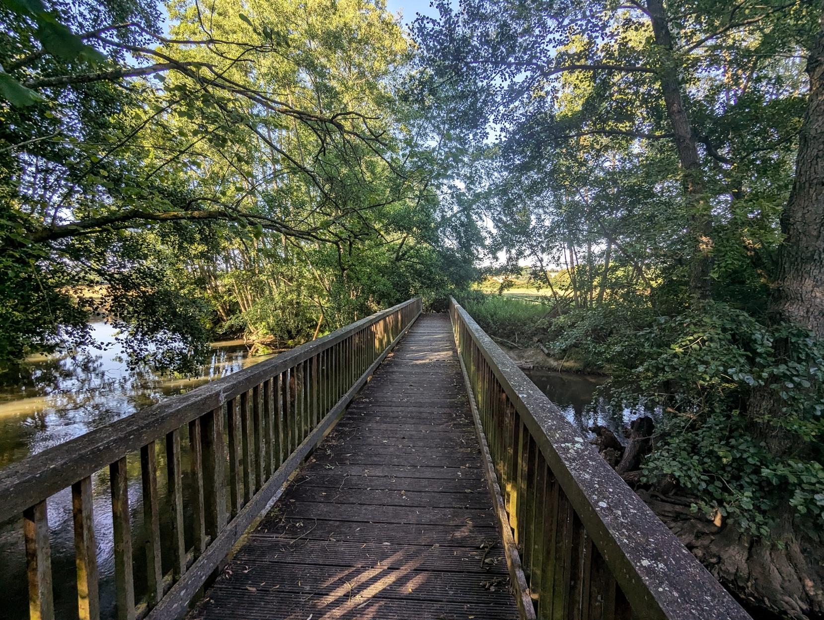 Wooden footbridge over a small river in the forest