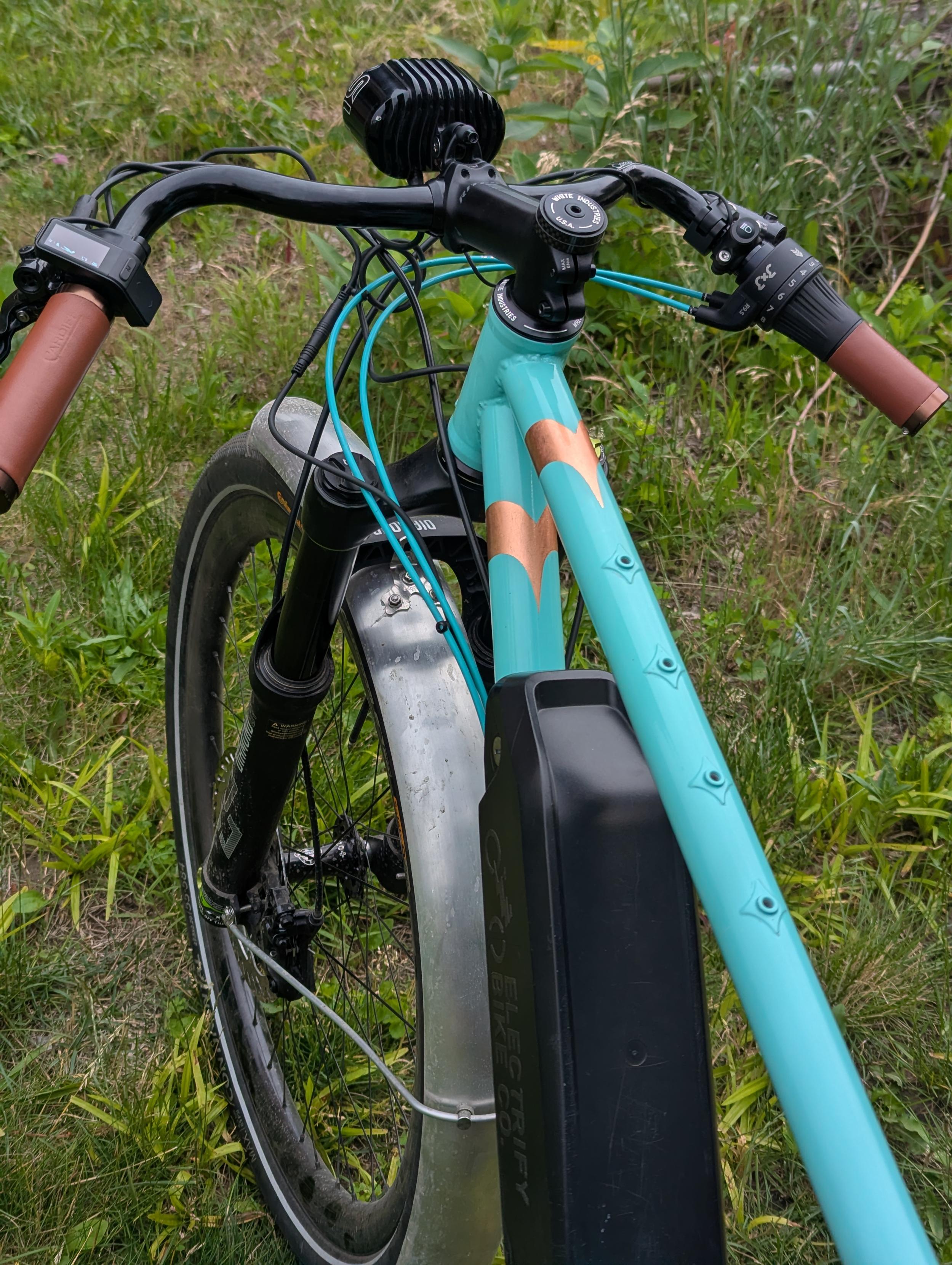 Copper leaf stripes on a teal bike