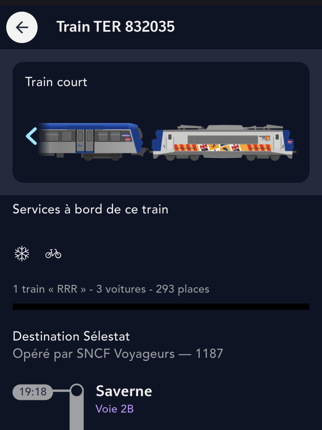 Screenshot from SNCF connect. The drawing of the locomotive in the train formation window shows a Nez Cassé in the former TER Sud livery.