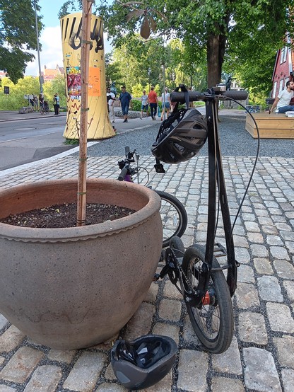 A HalfBike and a kids bike leaning on the pot for a tree. In the background is a city that has lots of greenery. 