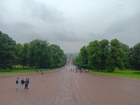 A view looking down at Karl Johan's gate in Oslo, taken from near The Royal Palace. It is a long straight road with lots of trees on either side. There are gloomy clouds overhead.