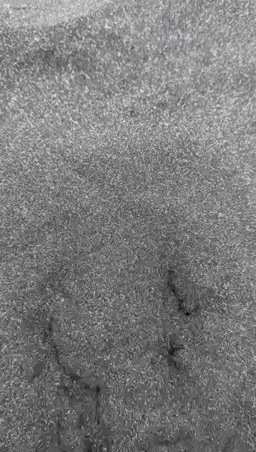 Gray sand with something moving underneath. Eventually it breaks apart and a hand appears with a middle finger raised. 