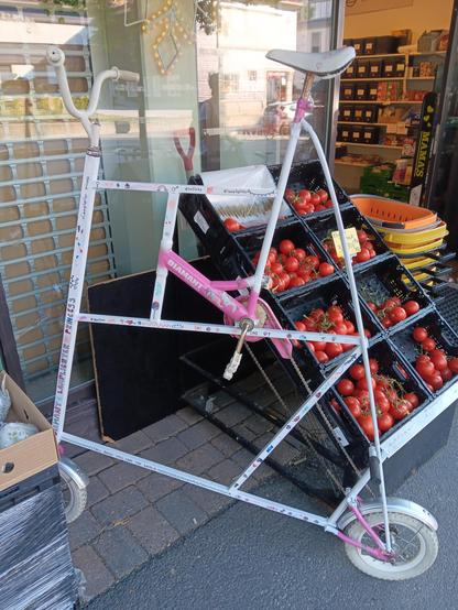 Micro lamplighter style tallbike in pink and white leaning against some outdoor shelving containing tomatoes. 