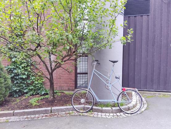 A pastel blue tallbike leaning against a circular pillar with an apple tree to the left of it. Behind is a brick building with glass windows and another building made of black wood.