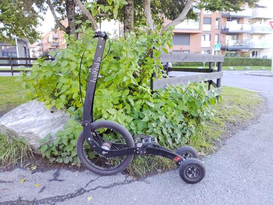 A Halfbike (a compact, three-wheeled stand-up bicycle) is parked on a paved surface near a bush and a large rock in an urban residential area. It features a large front wheel, two smaller rear wheels, and a tall vertical handlebar with the word “halfbike” printed on it. The minimalist frame and upright design reflect its blend of cycling, running, and skiing, intended for full-body workouts or urban commuting.