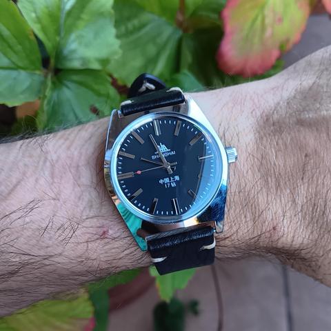 Chinese mechanical watch on a hairy wrist, with a black dial, silver coloured batons as markers and a black leather strap. The time is 09:57 (closing in on :58). In the background are some plants. 