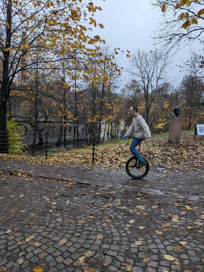 Man riding a unicycle on a road covered with autumn leaves
