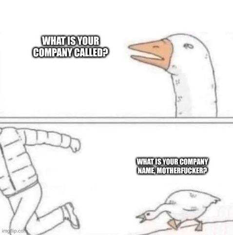Meme of a goose chasing a person. The goose says,

What is your company called?
What is your company name, motherfucker?