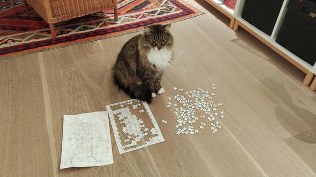 A cat sitting in front of a half finished puzzle, given the impression he has been working on it