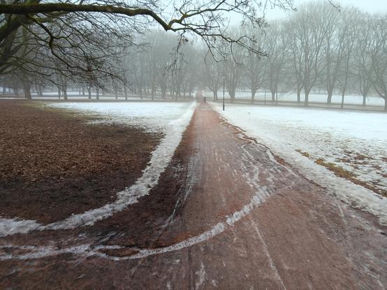Snow, fog and bare trees in a park with a path through the middle of it 