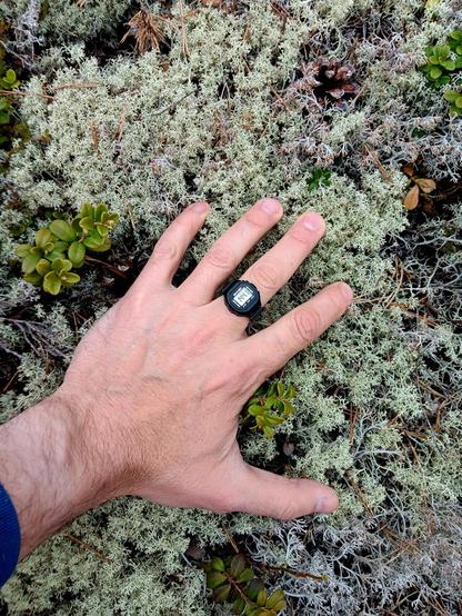 A hand wearing a digital finger watch resting on moss. 