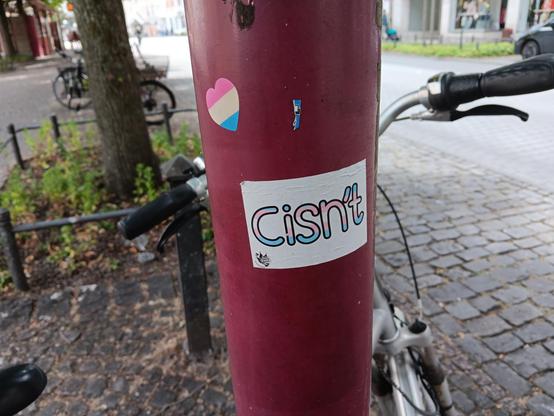 A sticker on a lamp post that reads "cisn't" in the pink, white and blue colours of the trans flag. 