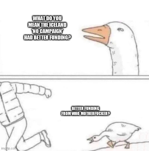 The Goose Chase meme. The first pane has the text, "What do you mean the Iceland 'no campaign' had better funding?" The second pane reads, "Better funding from who, motherfucker?"