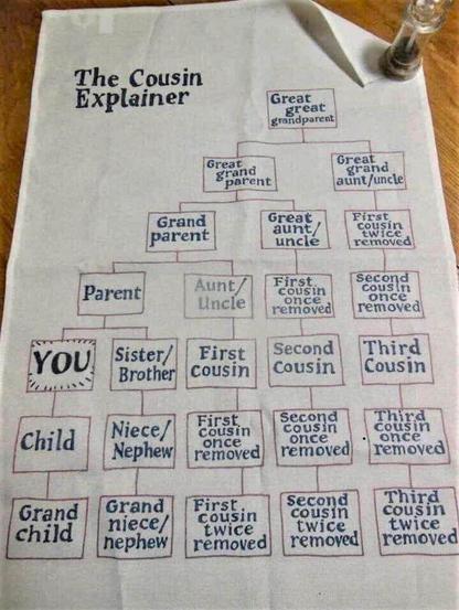 The photo shows a drawing of a family tree on a napkin. Starting from a great great grandparent at the top and going down six levels, one can use it to explore the connections and relationship e.g. to aunts, cousins or even a third cousin twice removed 