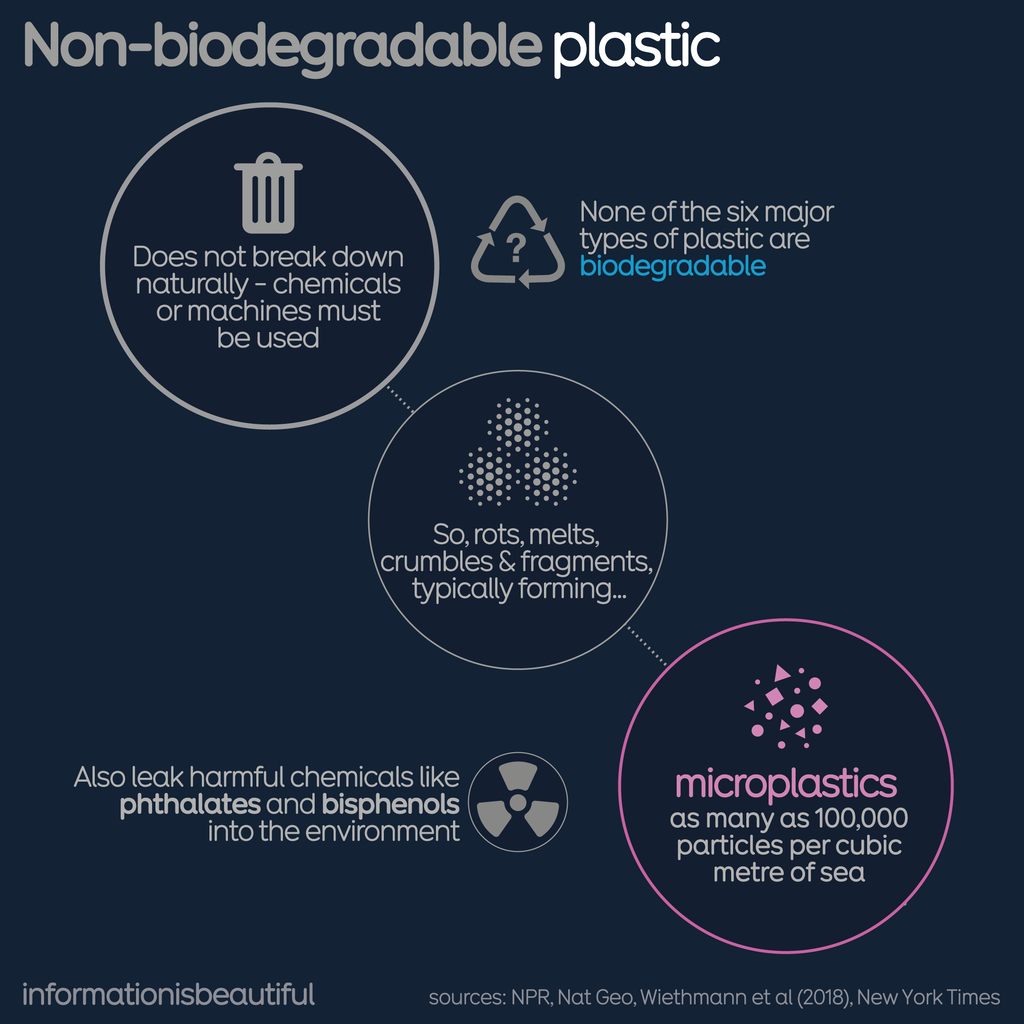 An infographic explains non-biodegradable plastics, noting that none of the six major plastic types are biodegradable. This mean many plastics rot, melt and fragment in the environment forming microplastics which pollute oceans and soils, while leaking harmful chemicals like phthalates and bisphenols.