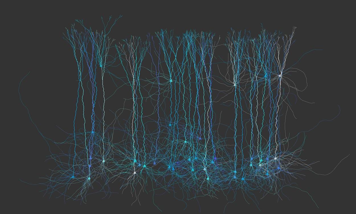Abstract art that looks like nerve cells.