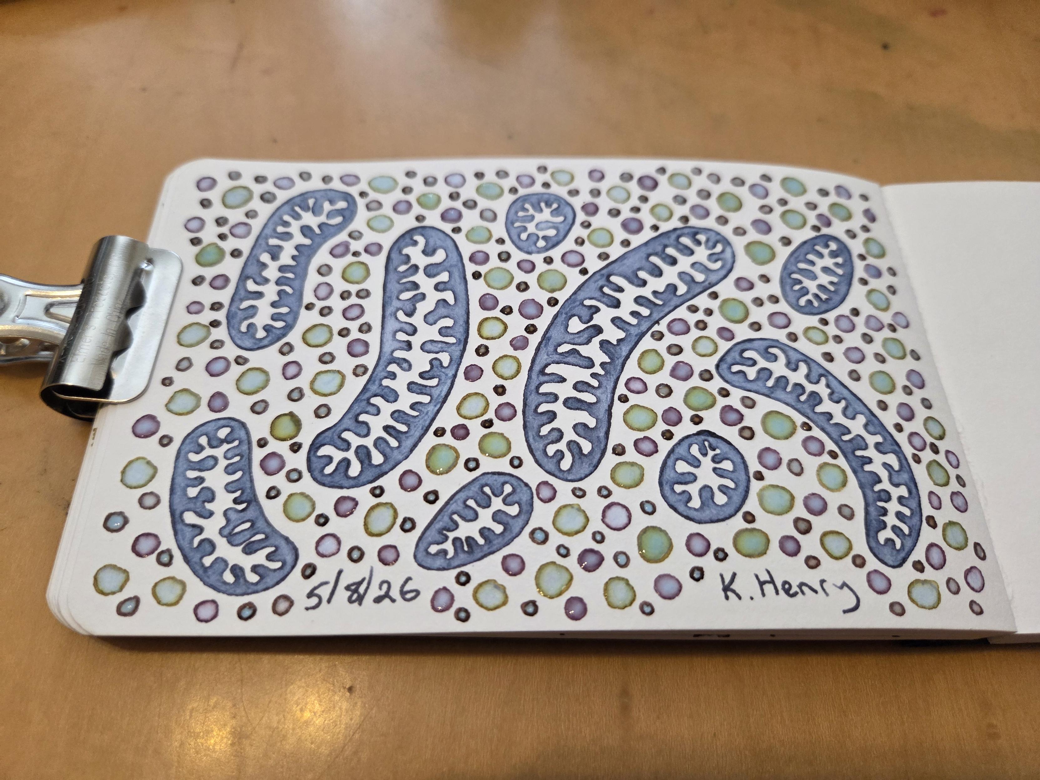 Hand drawn generative/procedural art in ink on an open page of my sketchbook. The abstract pattern looks a bit like mitochondria surrounded by little bubbles.