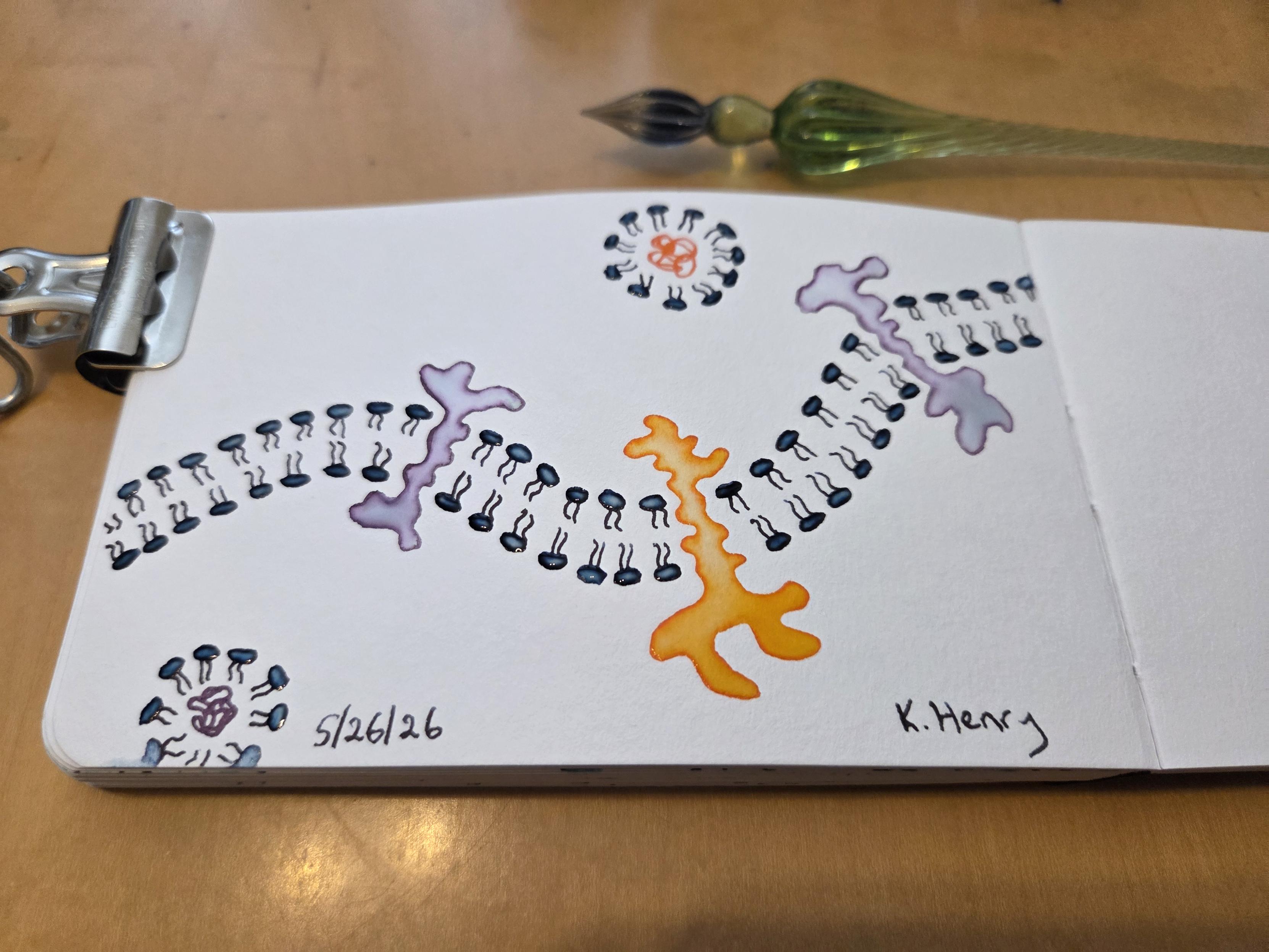 Hand drawn generative/procedural art in ink on an open page of my sketchbook. The abstract pattern looks like a diagram of molecular biology cell membrane and proteins, but prettier. A clip is holding my sketchbook open, and my glass dipping pen is next to it.
