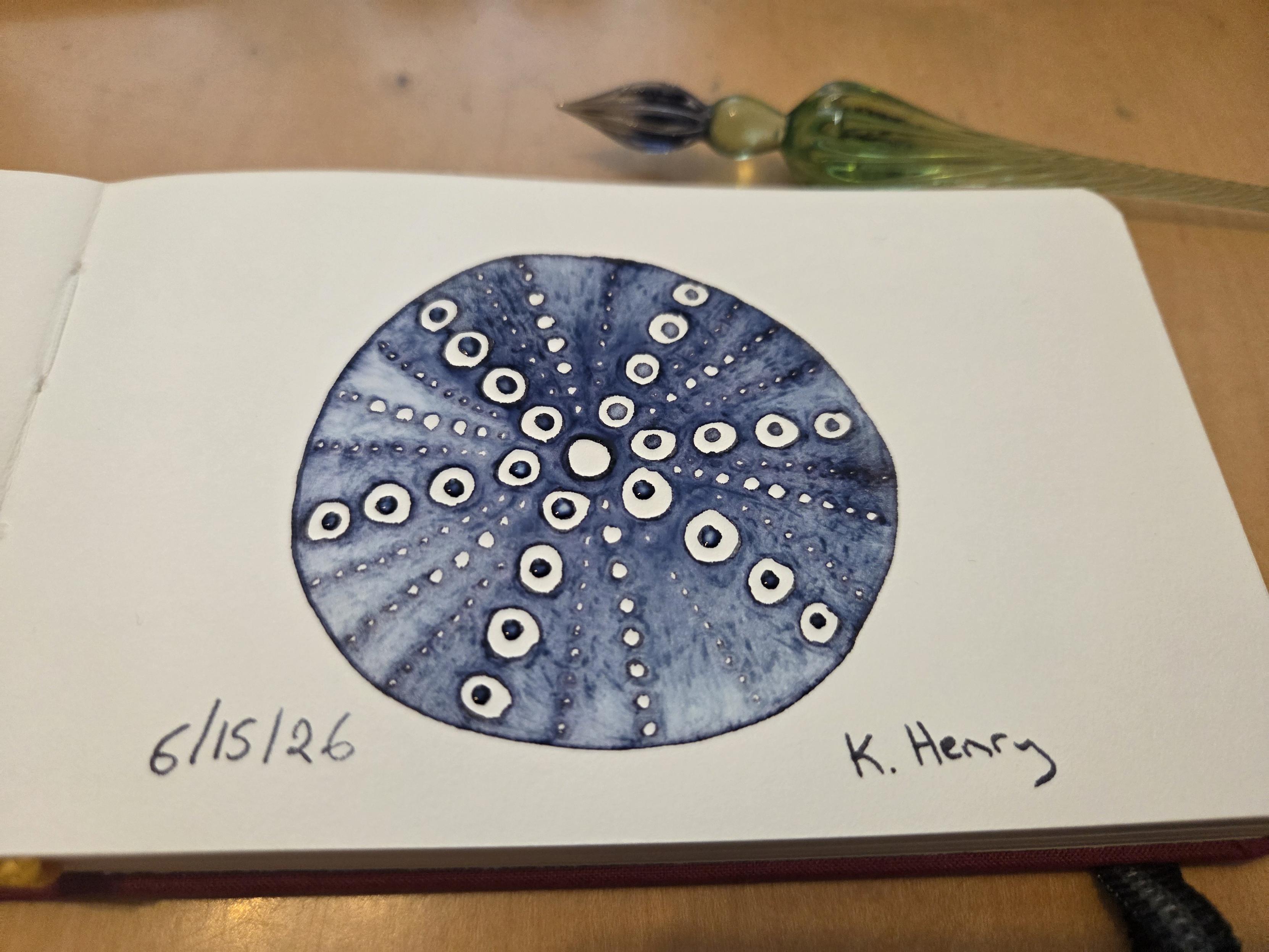 Hand drawn generative/procedural art in ink on an open page of my sketchbook. The abstract pattern looks a bit like a sea urchin. My glass dipping pen is next to my sketchbook.