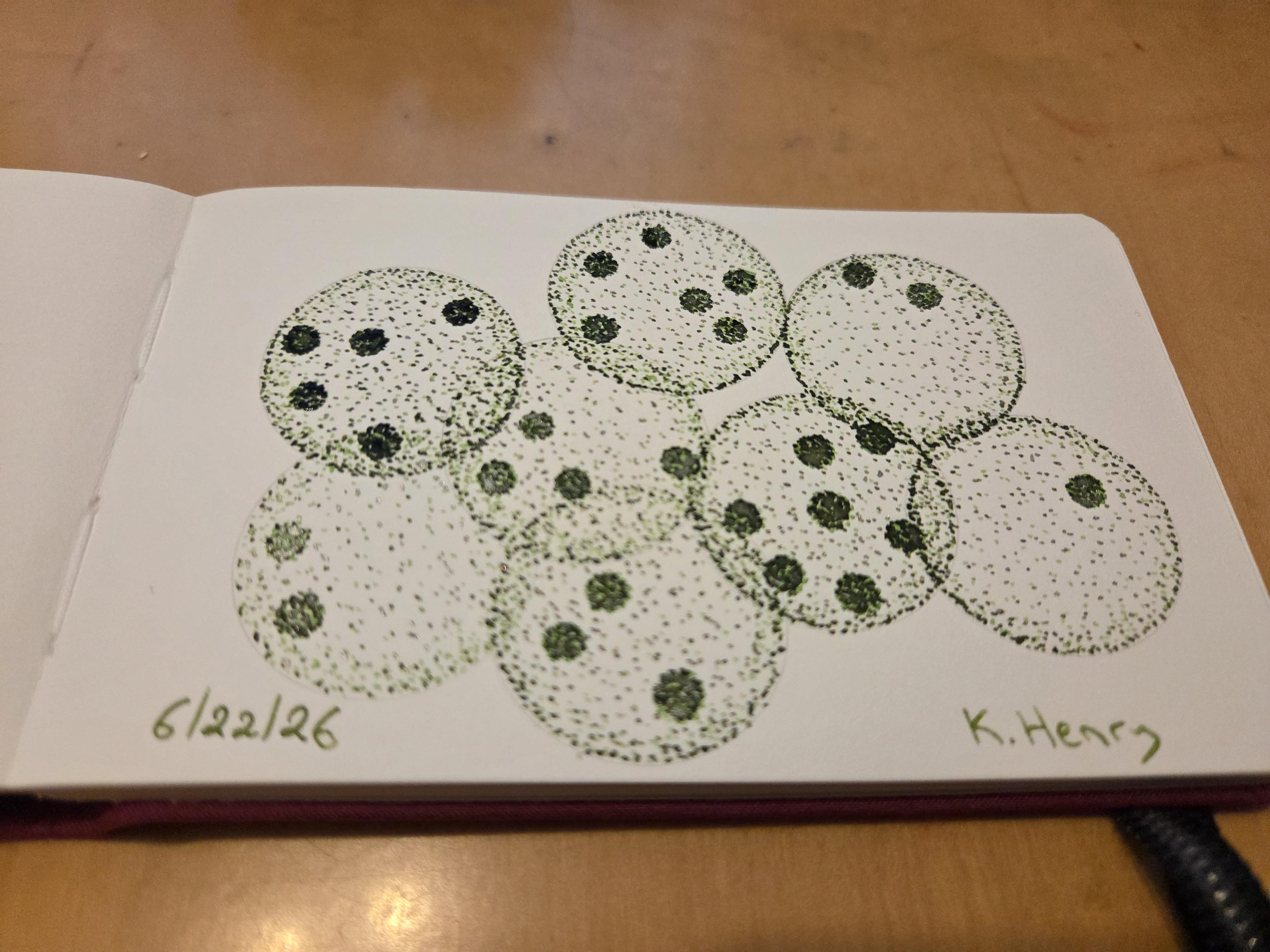 Hand drawn generative/procedural art in ink on an open page of my sketchbook. The abstract pattern looks a bit like a bunch of spherical algae.