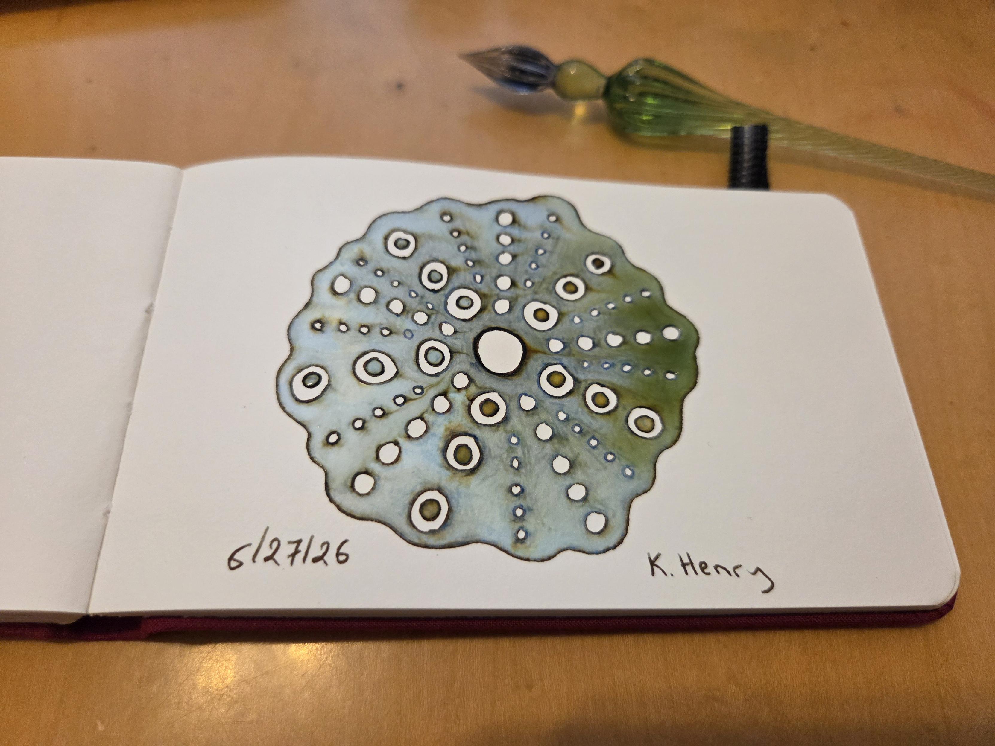 Hand drawn generative/procedural art in ink on an open page of my sketchbook. The abstract pattern looks a bit like a sea urchin. My glass dipping pen is next to my sketchbook.